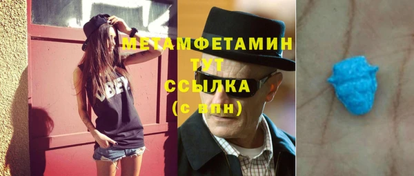 шишки Аркадак