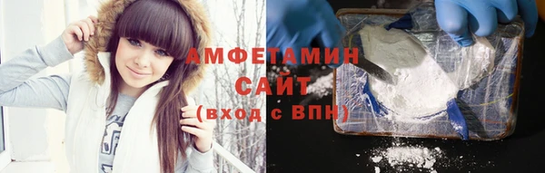 шишки Аркадак
