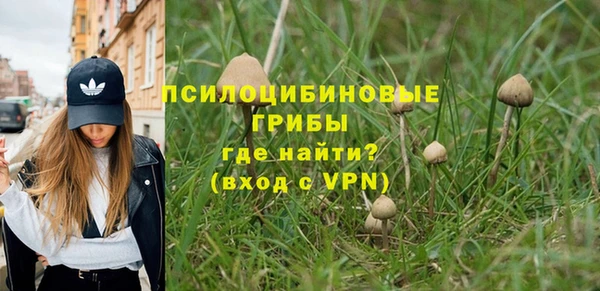прущий лед Армянск