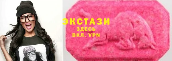 шишки Аркадак