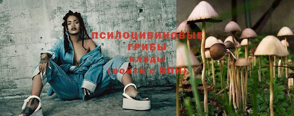 прущий лед Армянск
